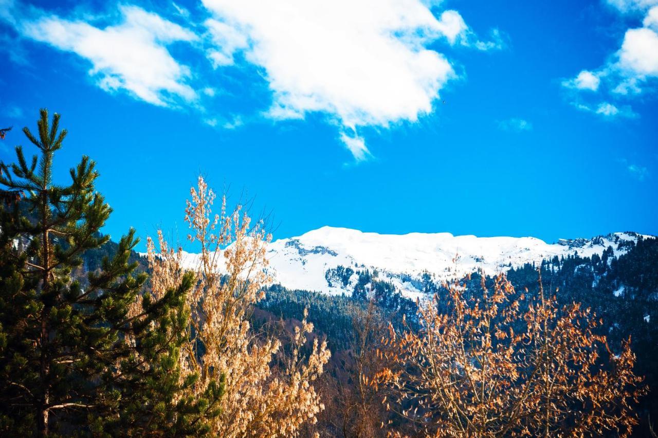 Residence Nemea Le Grand Tetras Samoëns Dış mekan fotoğraf